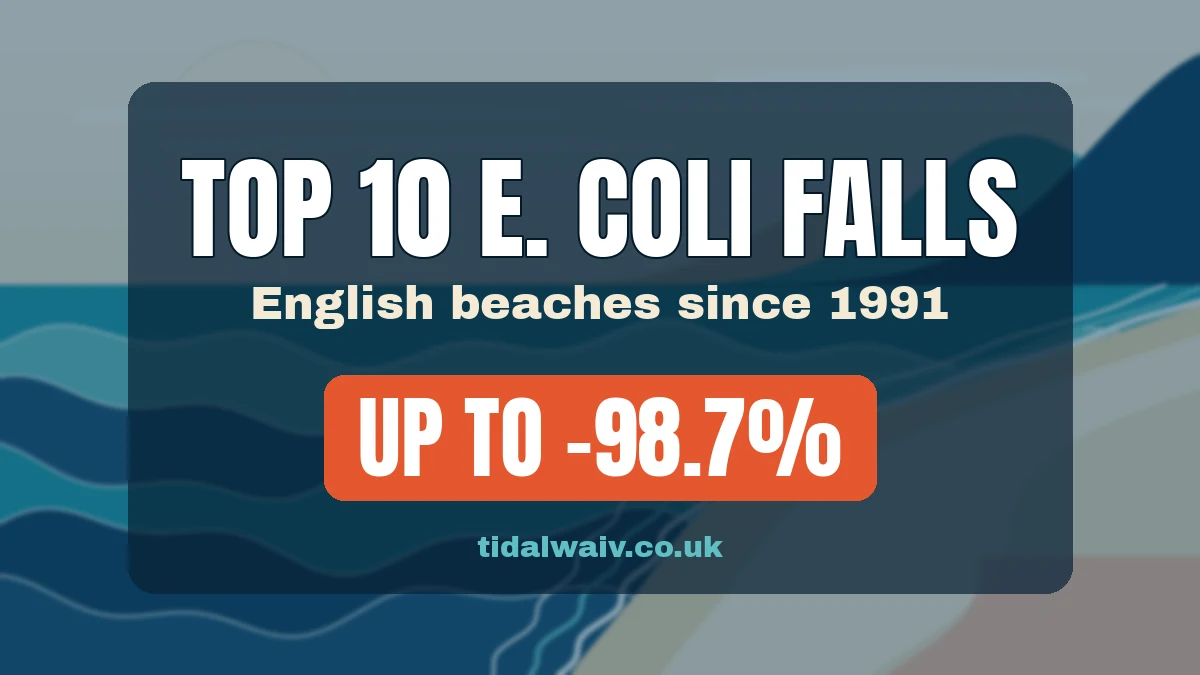 Cover graphic: Top 10 E. coli falls, English beaches since 1991, up to minus 98.7%, tidalwaiv.co.uk, over an abstract waves illustration